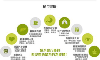 富硒健康新動力，產業盛會譜新章——聚焦2017第十四屆上海富硒食品產業博覽會及其酒店管理服務